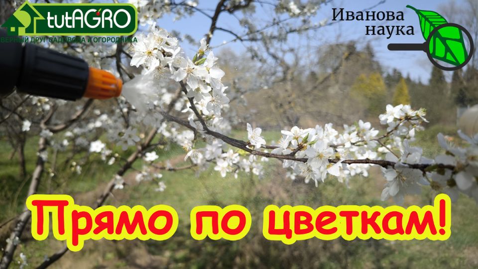        :   