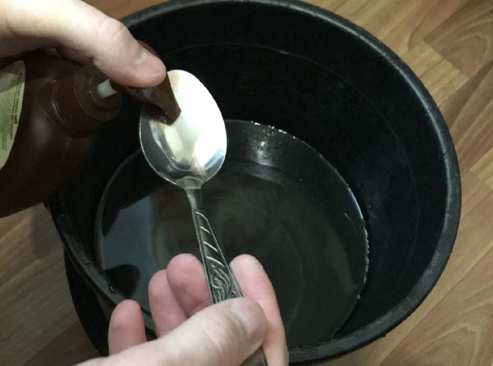    :    