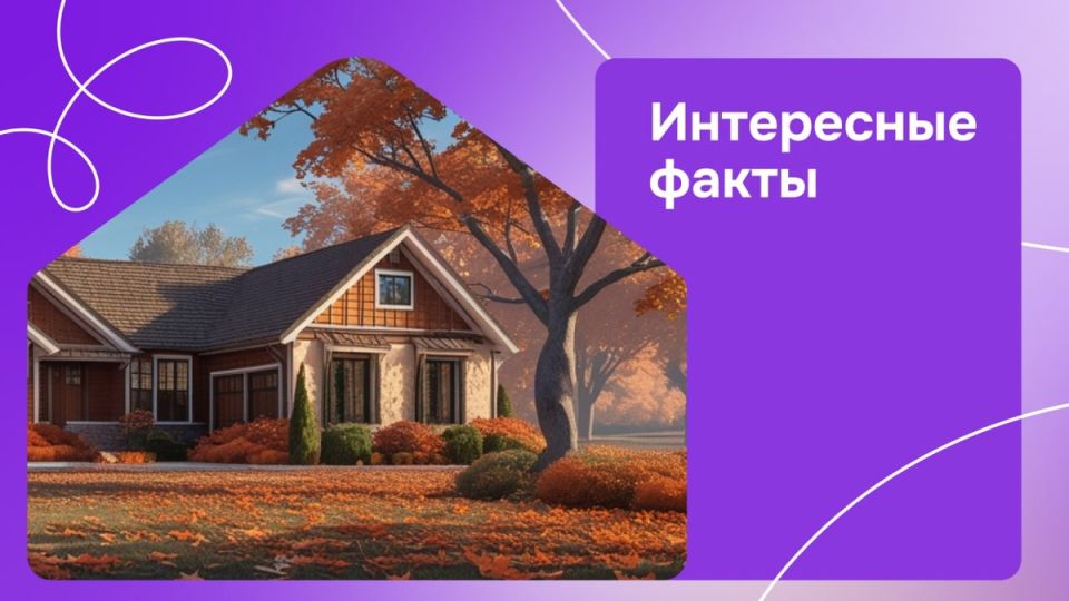   :       