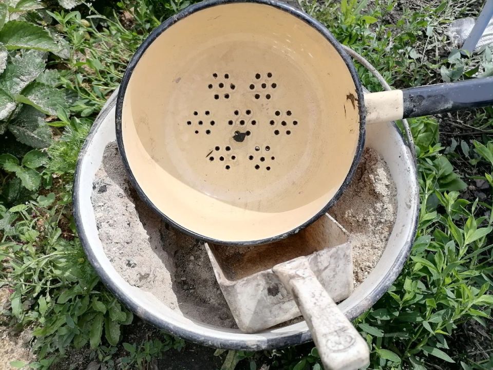 Роль древесной золы в подкормке овощей