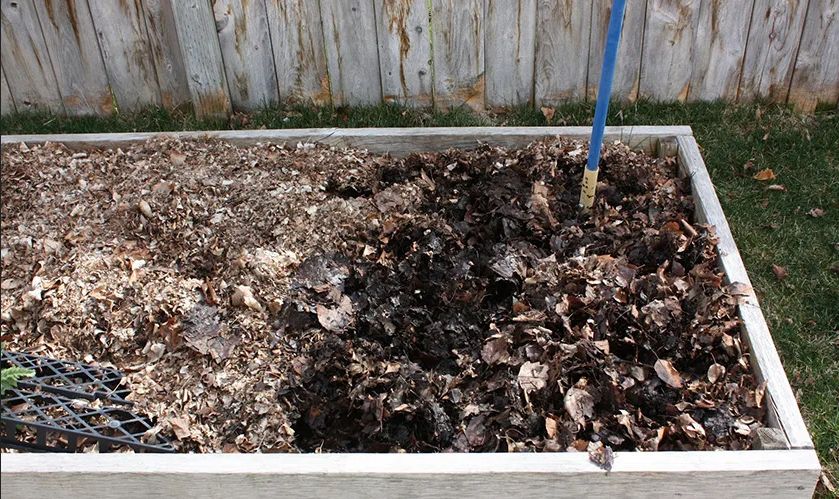 Зимовка компоста: как сохранить свой огородный секрет под снегом