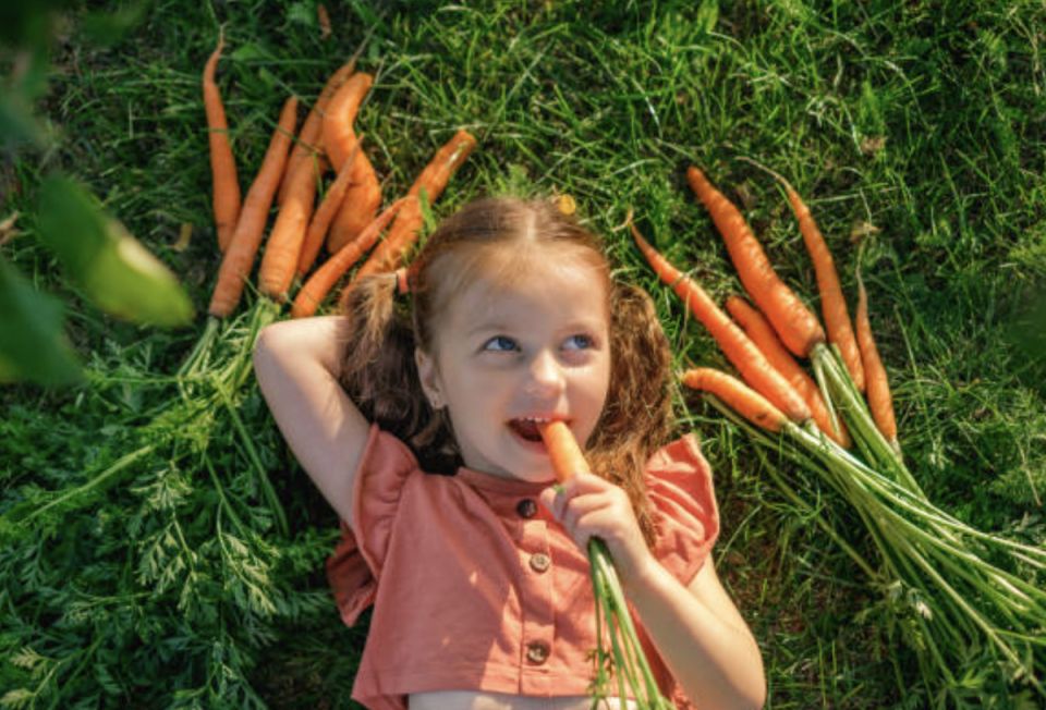 Как вырастить идеальную морковь: советы и секреты