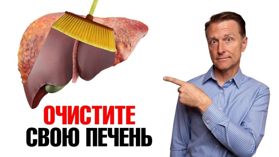 Печень после 40: как предотвратить серьёзные проблемы и сохранить здоровье