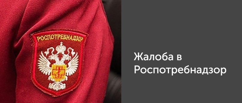 Как добиться справедливости: пошаговая инструкция для жалобы в Роспотребнадзор