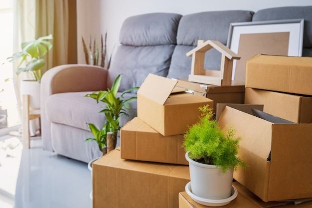 Государственная поддержка ипотеки: что ждет россиян в 2025 году