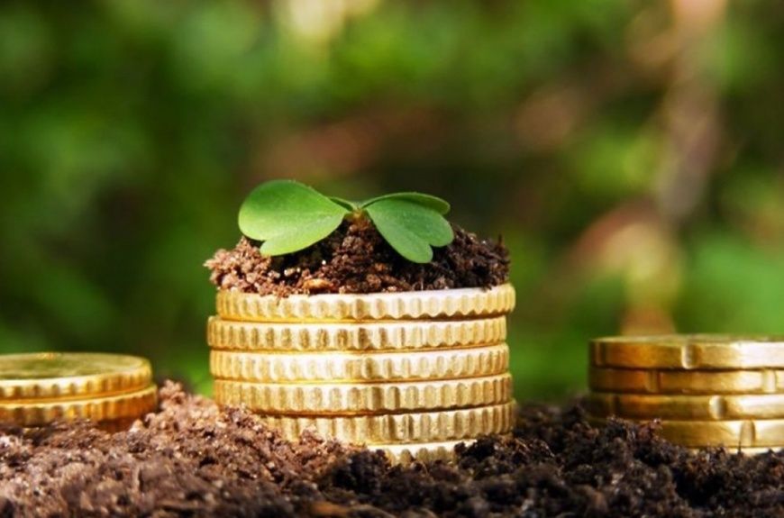 Как снизить земельный налог для льготников: шаги к законному освобождению