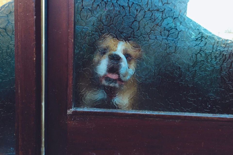 Как правильно ухаживать за матовым стеклом: советы для идеальной чистоты