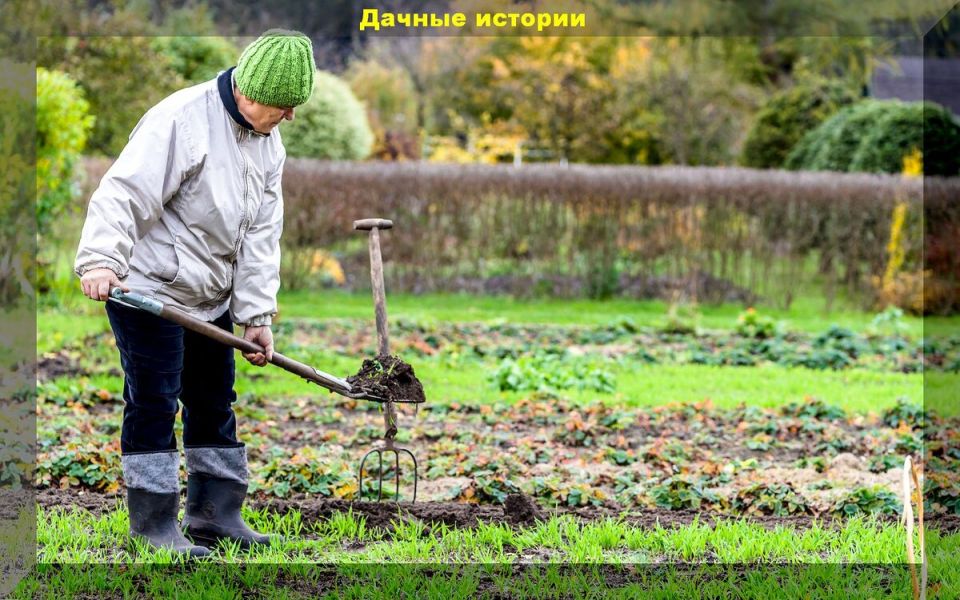 Как эффективно подготовить дачу к зиме: важные советы для садоводов