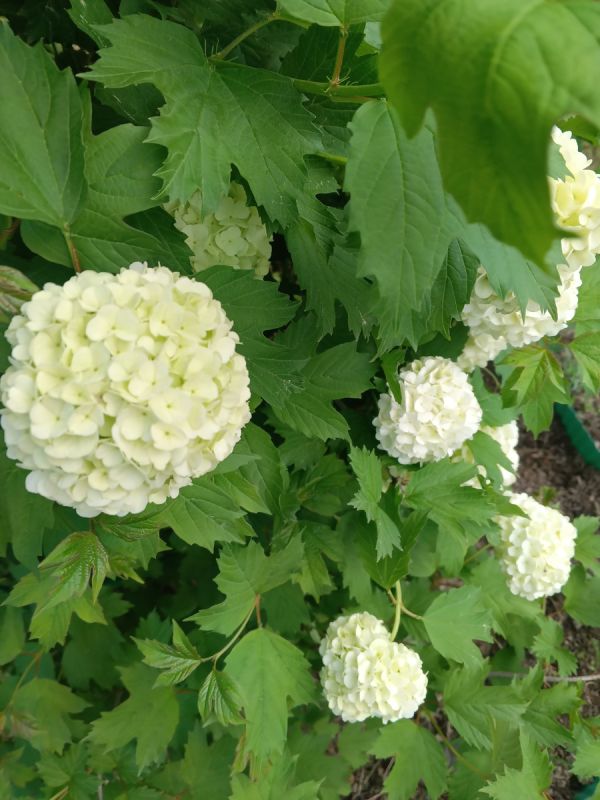 Почему финансовое благосостояние определяет качество жизни: секреты успешного управления бюджетом