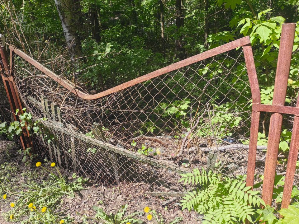 Соседский конфликт: как бесследно исчез забор и что это значит для дачников