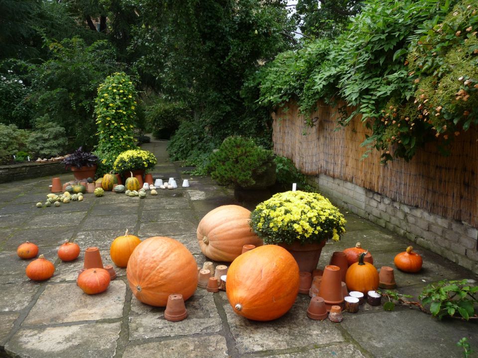 Тыква: сезонных заготовок с изюминкой для вашего стола