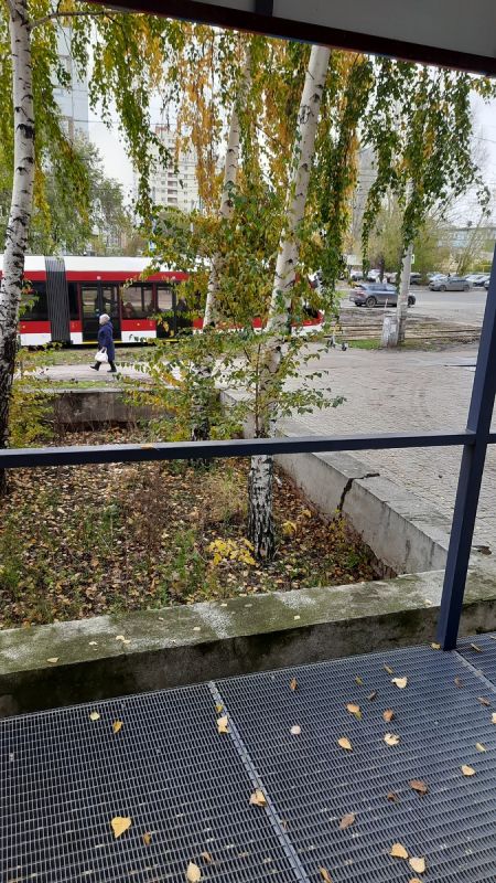 Как работа на пенсии меняет восприятие: личная история из ПВЗ