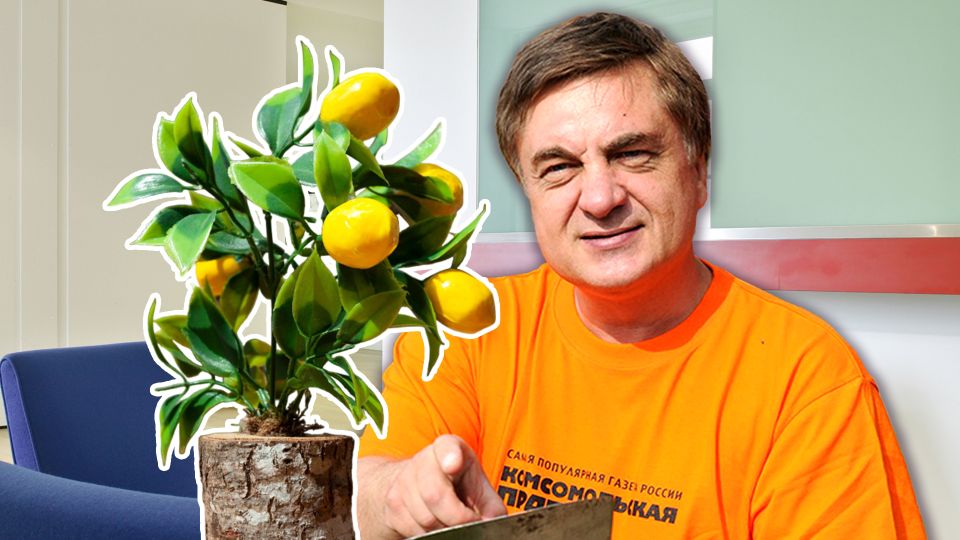 Как не загубить домашние растения осенью и зимой: ловите эти полезные советы от Андрея Туманова