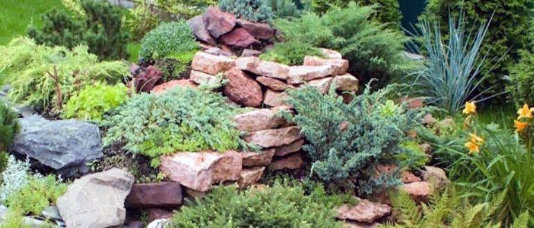 Что не так с вашей альпийской горкой: избегаем распространенных ошибок