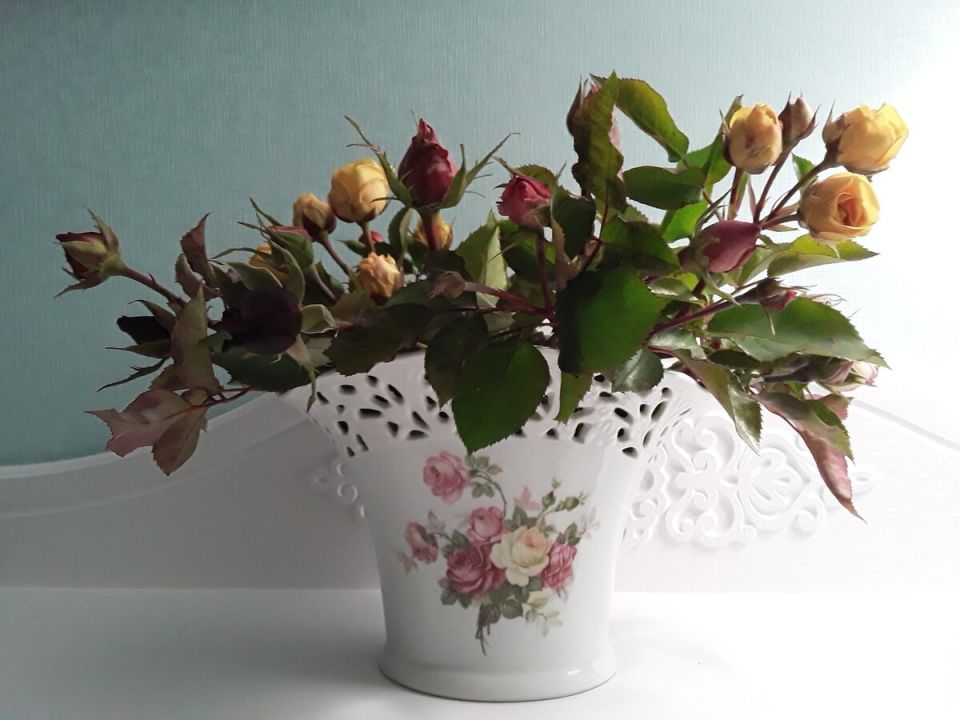 Подготовка роз к зиме: как не упустить последний момент