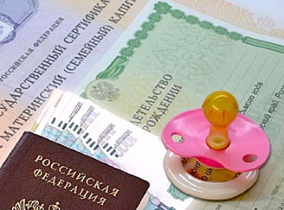 Новая поддержка для семей: выплаты на материнский капитал теперь доступны и без официальной работы