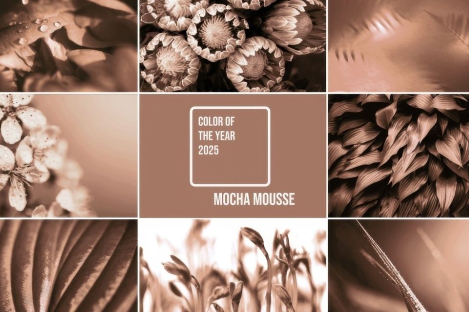 Создайте уникальный сад в оттенках года от Pantone: секреты стиля «мокко мусс» на 2025 год