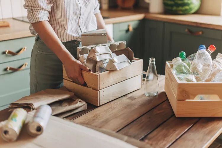 Почему шведская уборка оказалась на грани жизни и смерти?