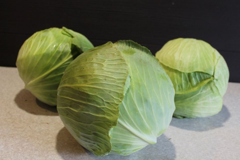 Как избежать неприятностей при выращивании капусты: главные советы для дачников