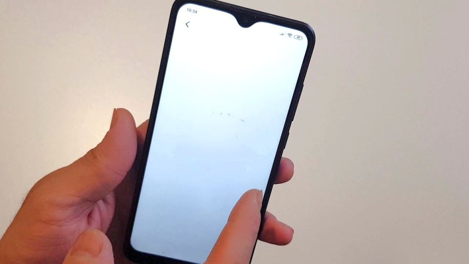 Новые онлайн-платформы получили статус «белого списка» в России