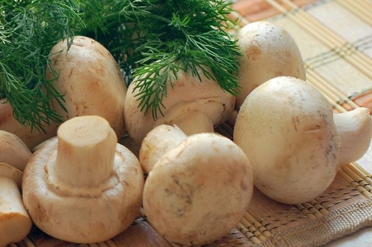 Как сохранить аромат замороженных грибов: вы об этом способе не знали