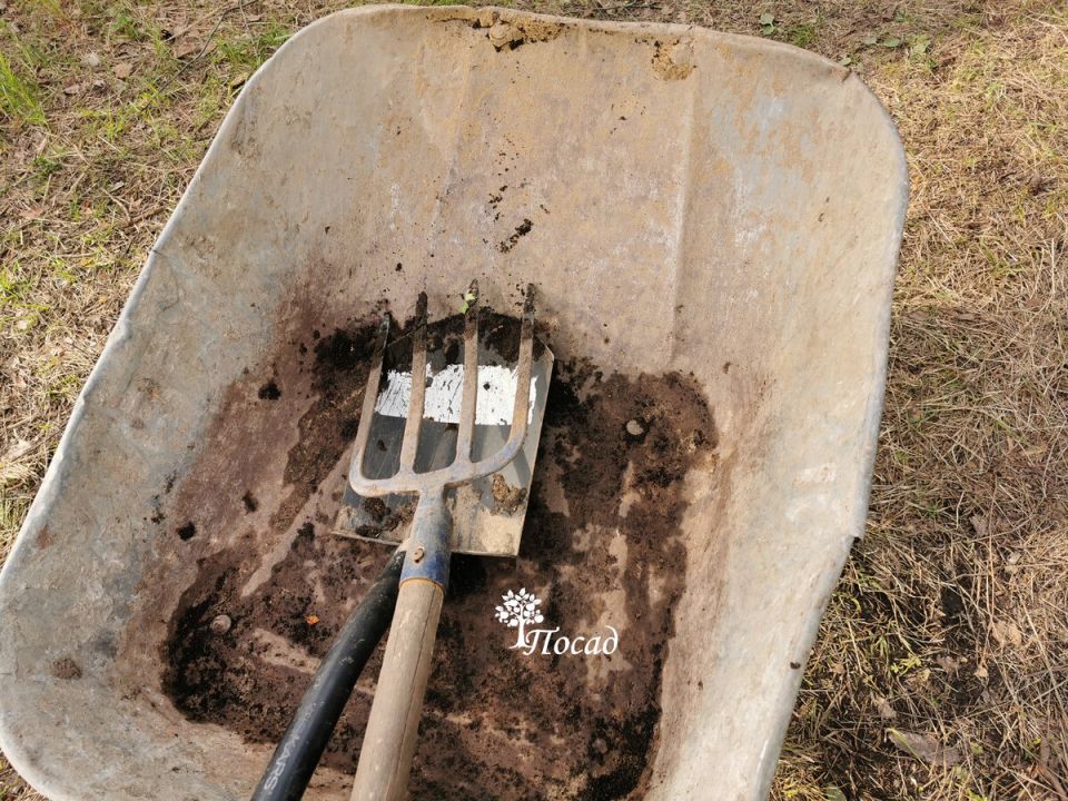 Дачные привычки: наследие советских дачников