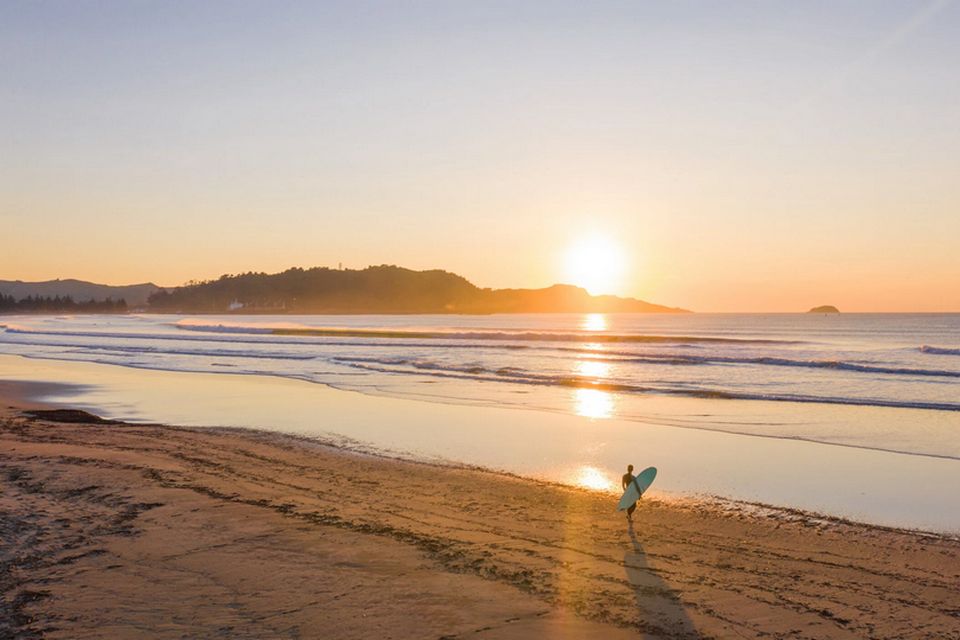 Необычные факты о виноделии Новой Зеландии