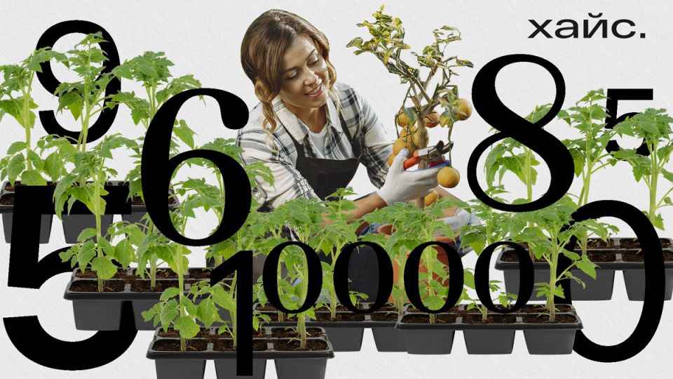 Как создать финансовую свободу к 40 годам