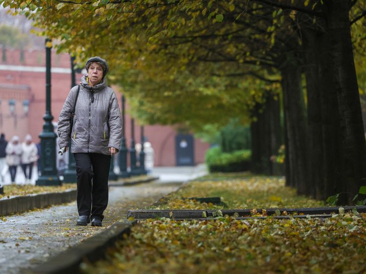 Право на пенсию для никогда не работавших россиян