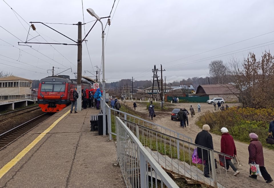 Секреты дачного сезона: Урожай рукколы, осталась последняя капуста и неожиданные находки