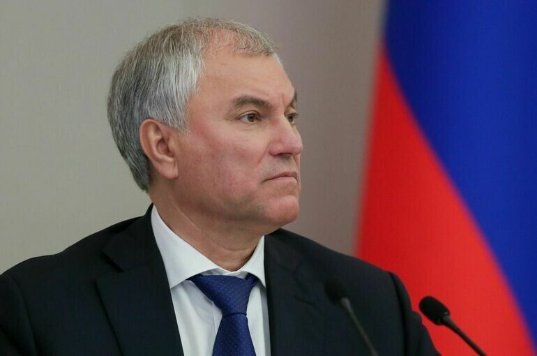 Володин требует от Кабмина защитить российские активы от зарубежного изъятия