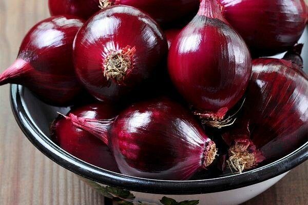 Лук Черный принц: секреты успешного роста и удивительные качества