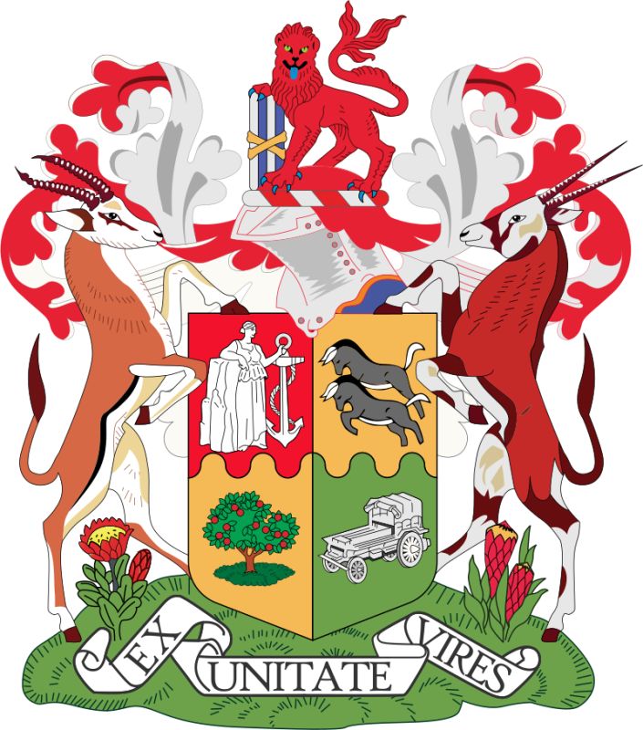 Протея: как южноафриканский цветок стал символом надежды и стойкости