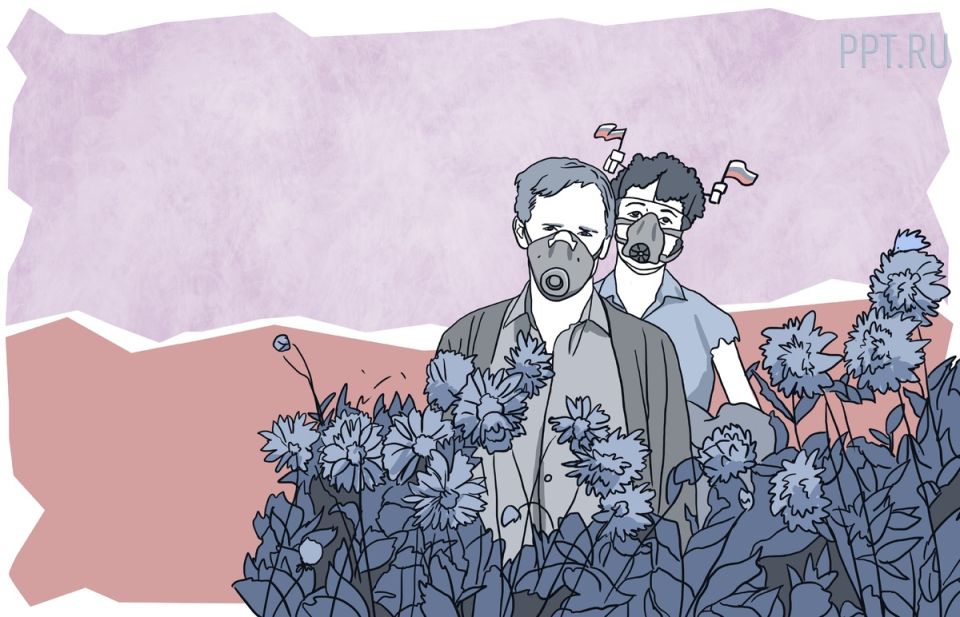 Зачем следить за борщевиком: новые правила для владельцев дач