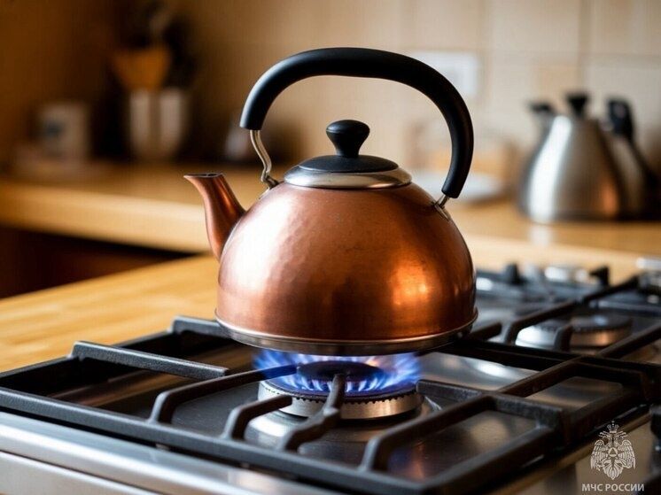Как действовать при неисправности газовой плиты и неприятном запахе газа в доме
