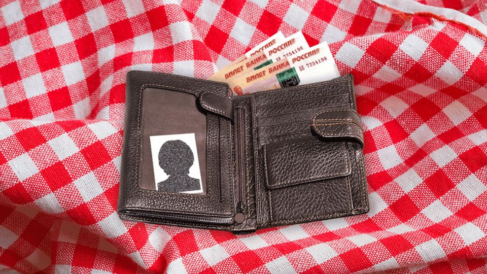 Как победить пенсионный фонд и получить положенные деньги: случай Заборцевой