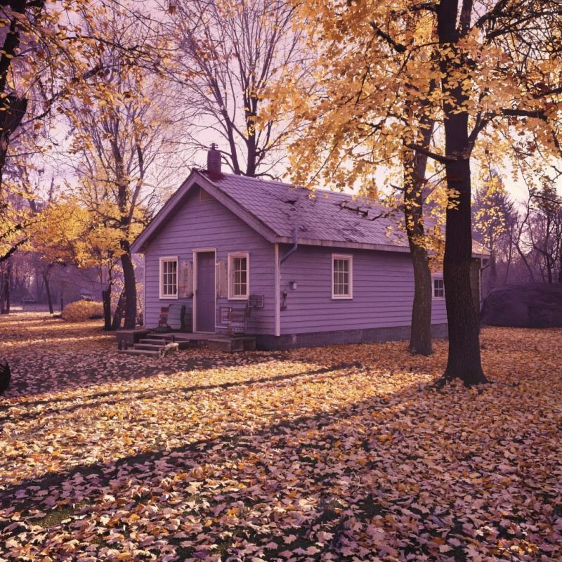 Как осенние ошибки могут уничтожить будущий урожай: важные советы для садоводов