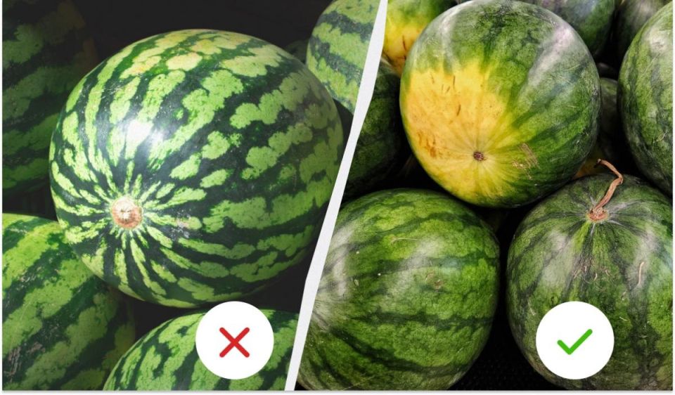 Как выбрать идеальный арбуз: секреты, которые сэкономят ваши деньги