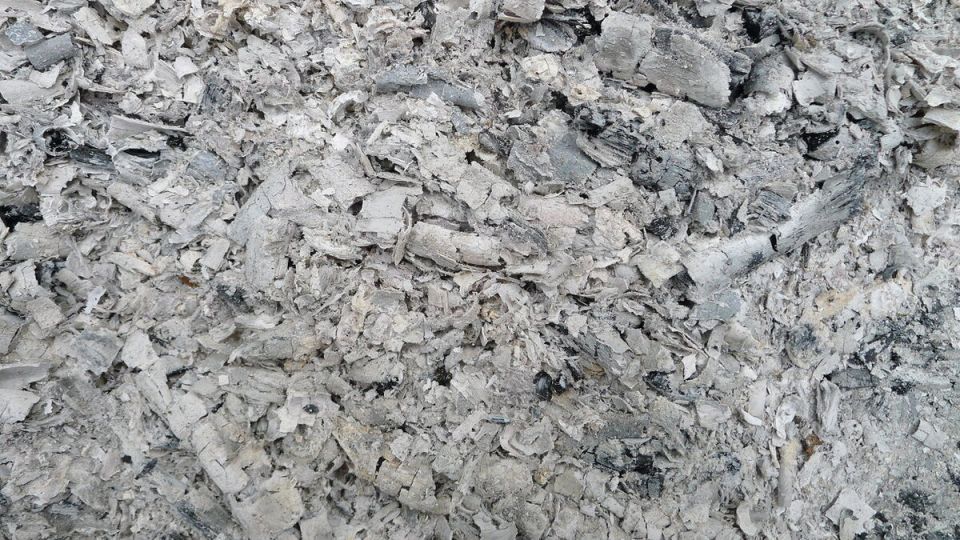 Польза мела и золы на вашем садовом участке