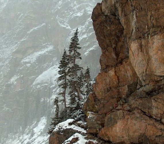 Как справиться с горем: этапы, переживания и советы