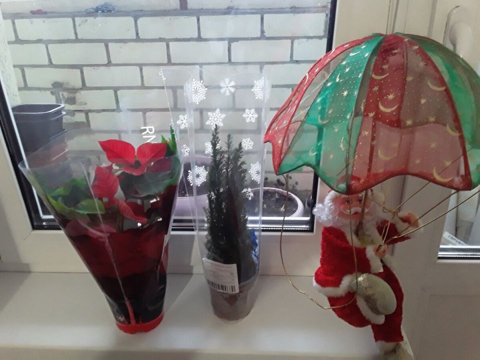 Неудачные инвестиции в сад: подведены итоги сезона