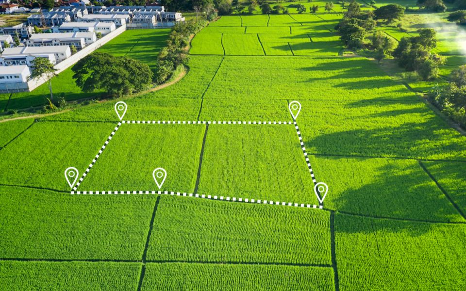 Как бесплатно получить бесхозную землю: возможности и советы