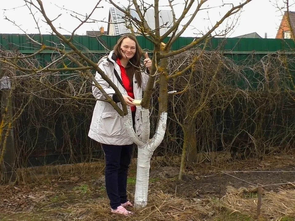 Как вырастить здоровый сад без химии: секреты успешного ухода