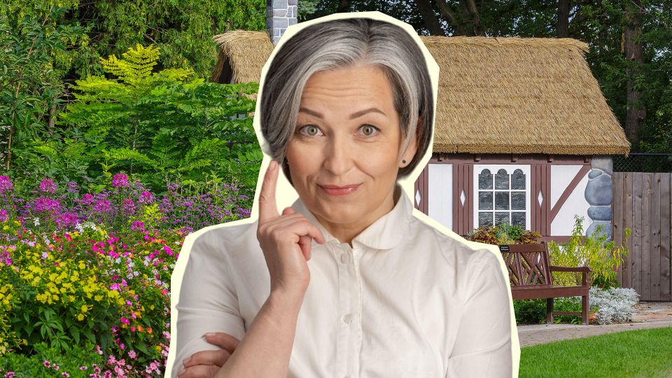 Ни в коем случае не вносите золу для этих растений: хорошего урожая вам не видать