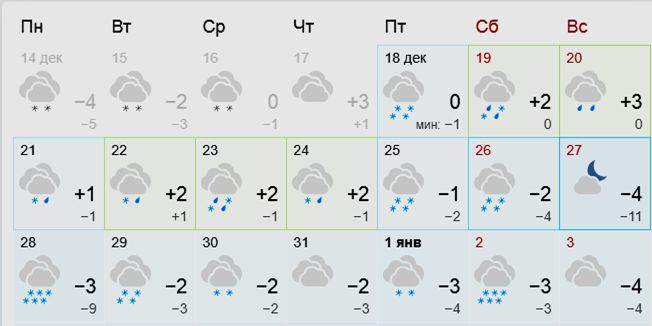 Зимнее волшебство: Сад, прихваченный морозом