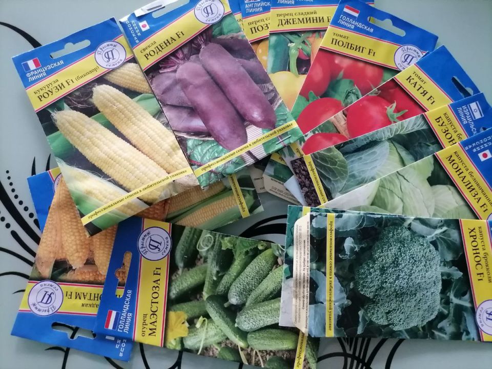 ���������������� ������ �� "��������": ��� ������� � ��� ����� �����