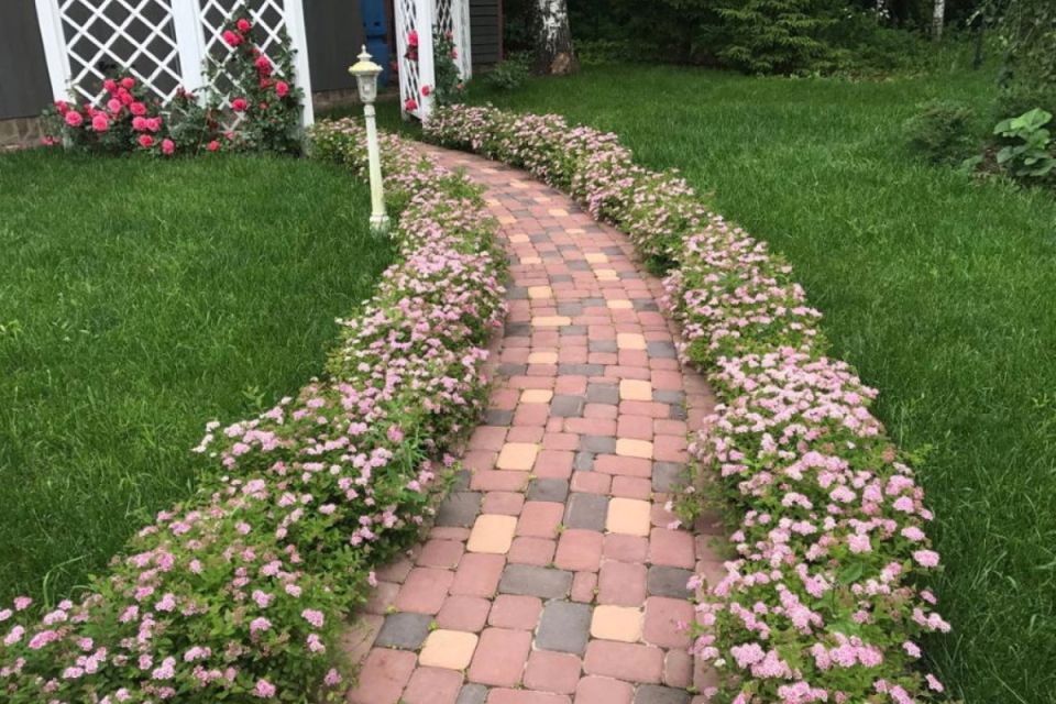 ����������� ������� ������� � ������� �������� ��������