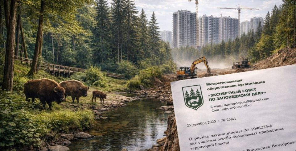 ������������� ���� �� ������������ ������: ���������� ������������� �������� ������� � ���������