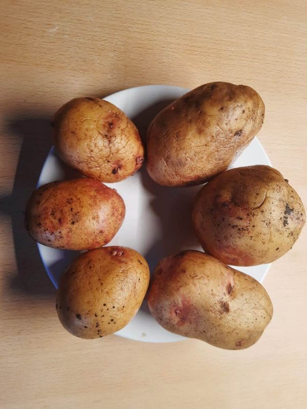 ��� ������� ������ ������ ��������� ��� �������� �������