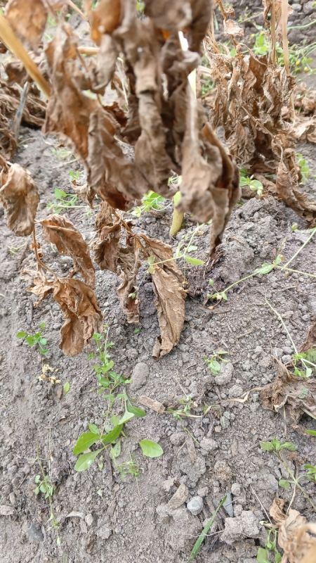 ������ ����� �������� ����� ������� � ��� ������ ������